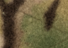 Multicam