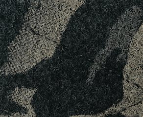 Multicam Black